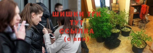 тгк Каменногорск