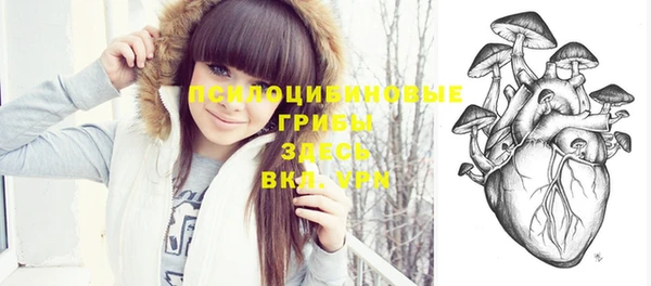 тгк Каменногорск