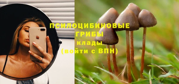 дмт Карпинск
