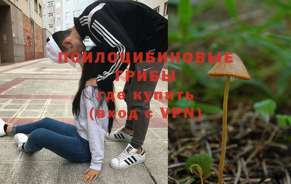 дмт Карпинск