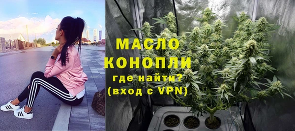 spice Каменка