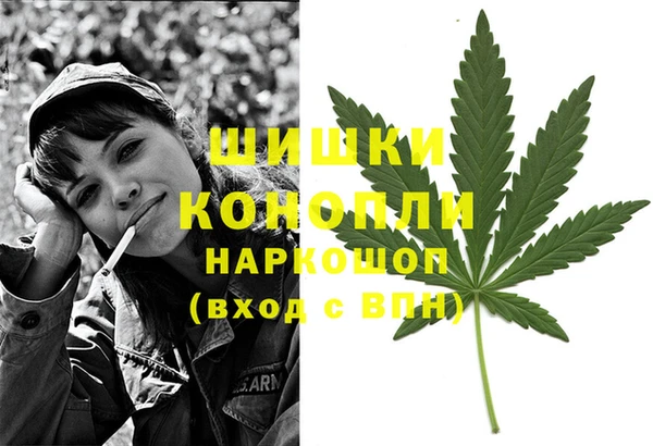 шишки Касимов