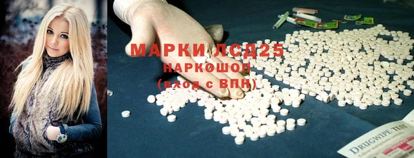 spice Каменка