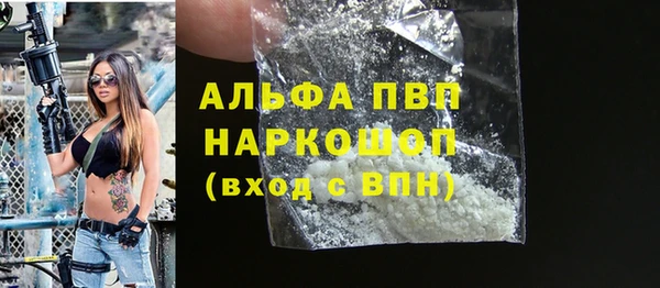 spice Каменка