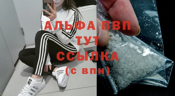 тгк Каменногорск