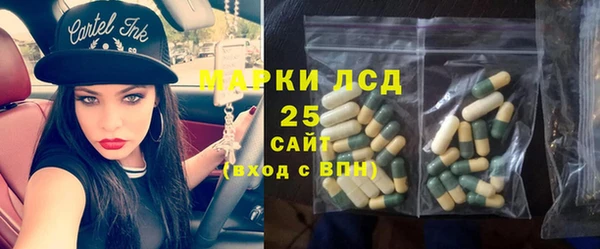 тгк Каменногорск
