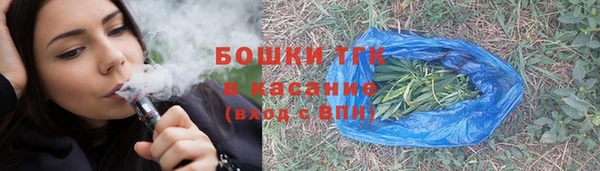 тгк Каменногорск