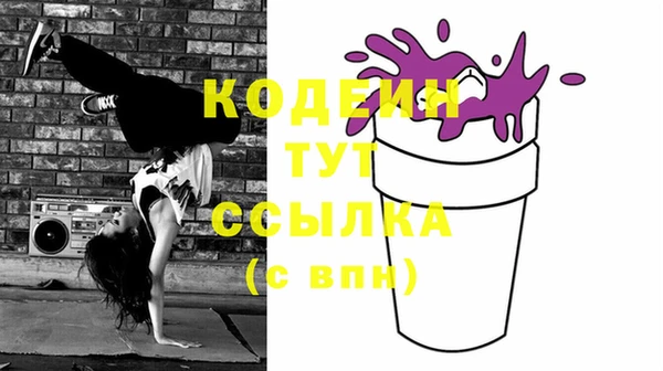дурь Инсар