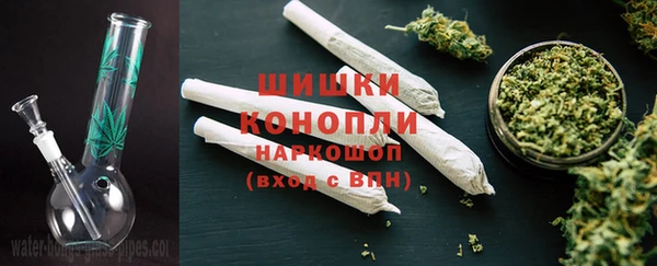 шишки Касимов