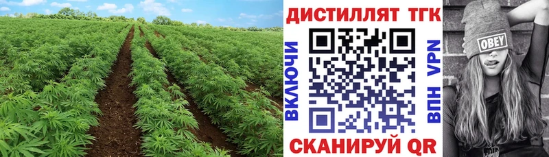 Дистиллят ТГК гашишное масло  Красновишерск 